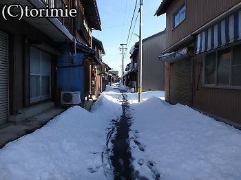 1/18・雪害の各所回り_b0036205_06020370.jpg