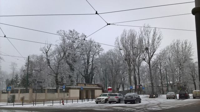 e0039206_04273160.jpg