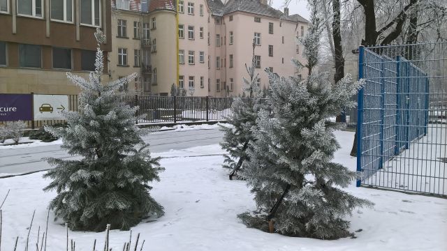 e0039206_04274282.jpg