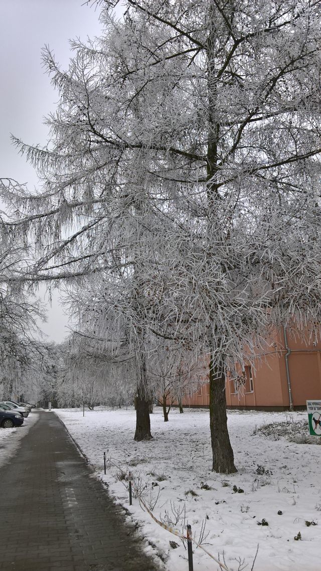 e0039206_04275668.jpg