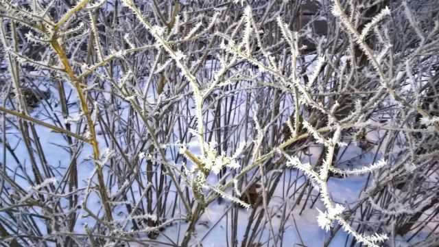 e0039206_04280660.jpg
