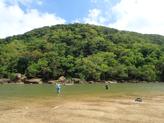 f0315711_18182762.jpg