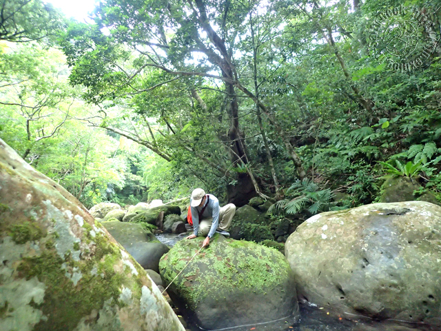 f0315711_19251396.jpg