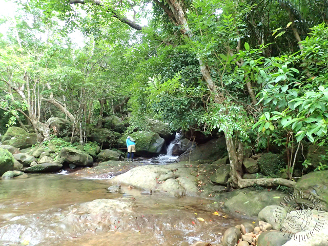 f0315711_19251427.jpg