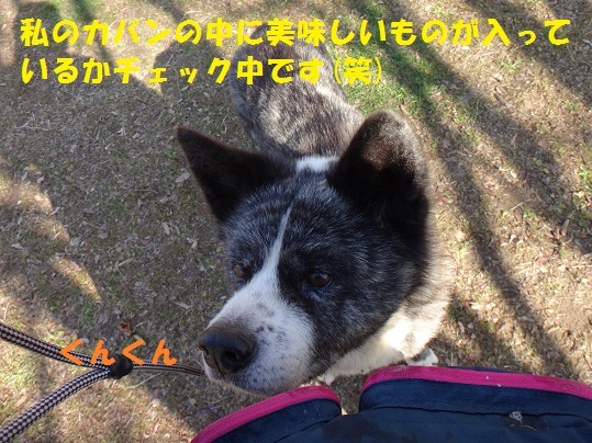 f0121712_22124092.jpg