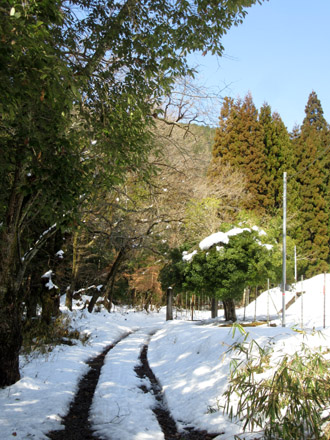 菜園が雪に埋もれました_e0048413_1535252.jpg