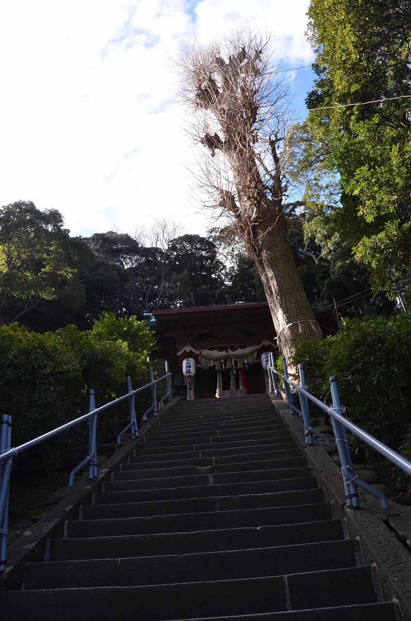 走水神社_d0065116_21451650.jpg