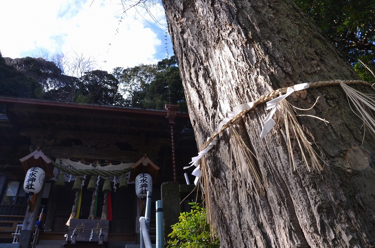 走水神社_d0065116_2145262.jpg