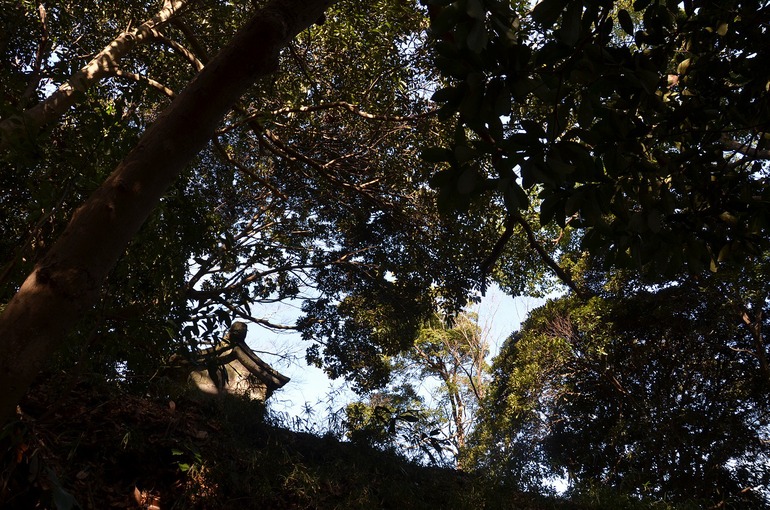 走水神社_d0065116_21483336.jpg