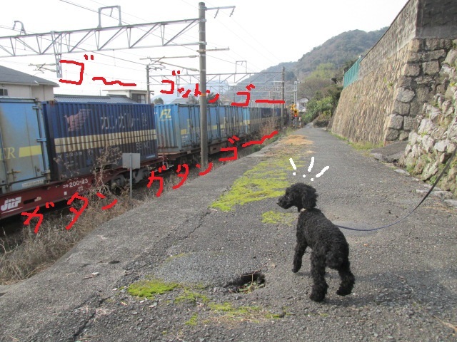 f0341616_16234252.jpg