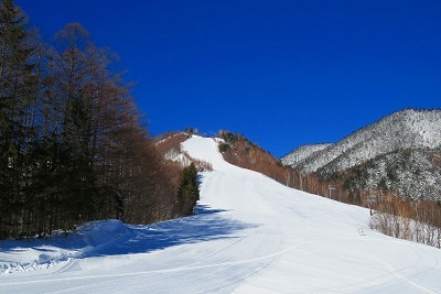 ついに！鳥居尾根ダウンヒルコースがオープンです！！_a0353718_23301476.jpg