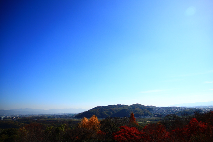 f0209122_17382617.jpg