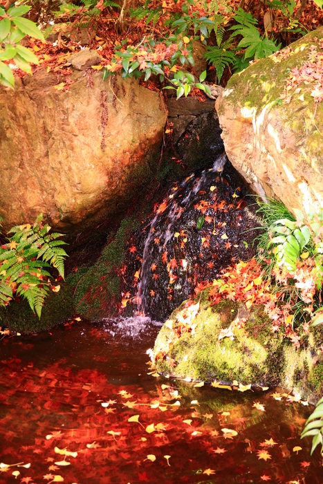 f0209122_17405928.jpg