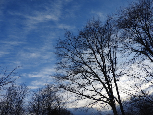b0174425_17184510.jpg