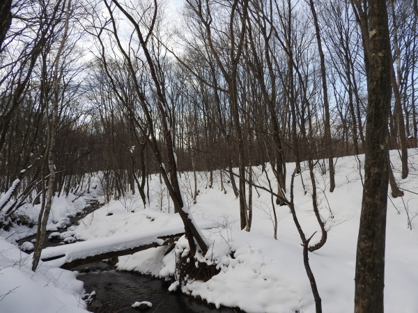 b0174425_17411397.jpg