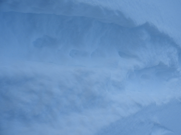 b0174425_17520319.jpg