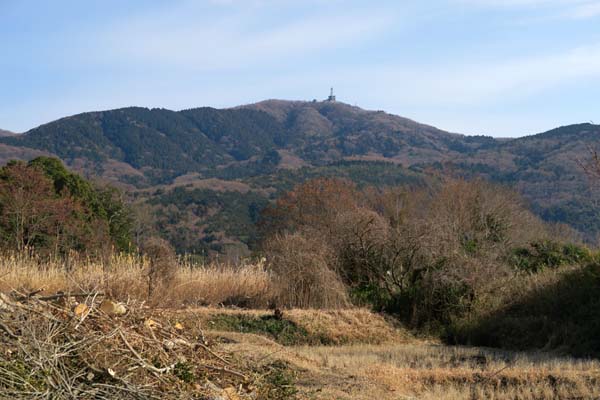 f0147025_16532477.jpg