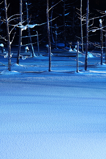 冬の北海道で過ごす三が日（2日目）_f0037227_19493535.jpg