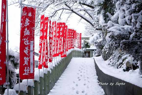 知多半島雪景色2017_c0201929_6575372.jpg