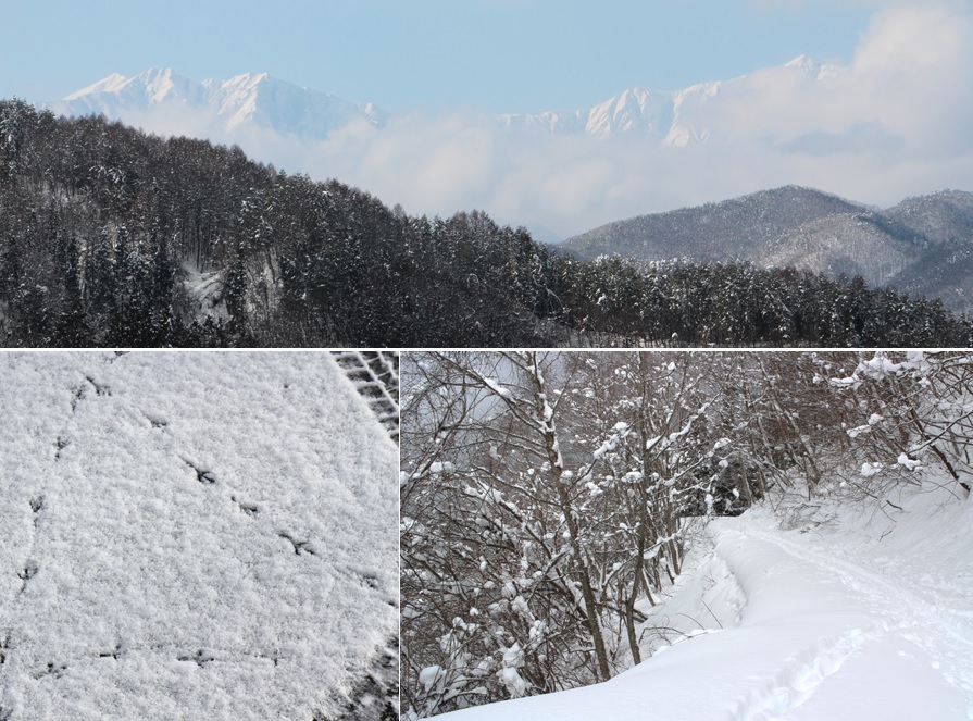 雪の道と足跡_a0212730_18523841.jpg