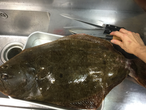 明石産、特大天然ヒラメ!_c0119937_02402709.jpg