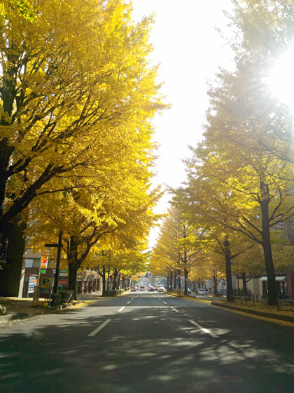 c0335348_16171113.jpg