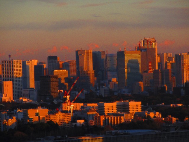 b0009849_20433474.jpg