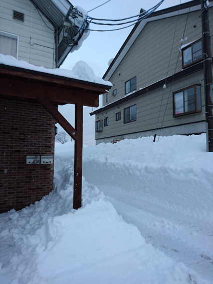 b0129758_9214812.gif