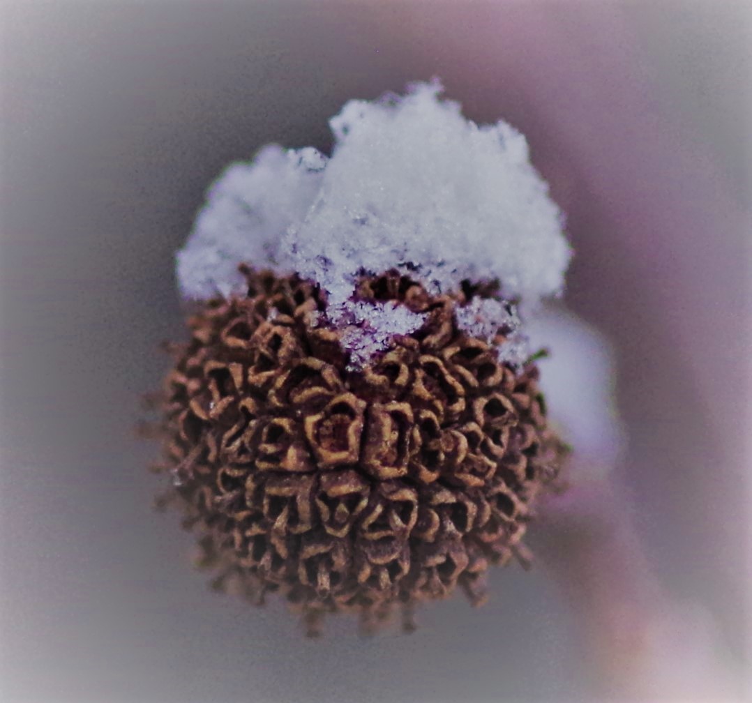 c0357659_09284887.jpg
