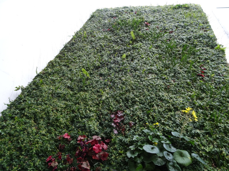 c0108460_20012105.jpg