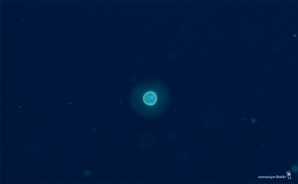 e0158261_6193823.jpg