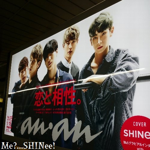 SHINee ポスター 切り結ん