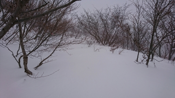 2017.1.19 茶臼岳鳥居を見に❗_a0266370_21005729.jpg