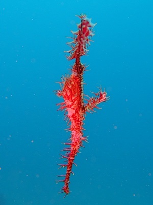 b0033573_17313820.jpg