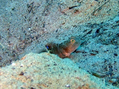 b0033573_17323989.jpg