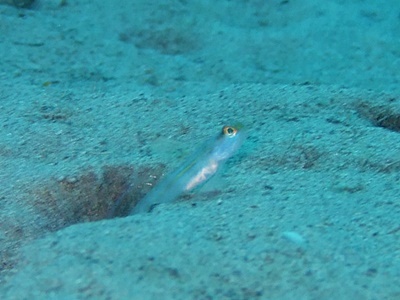 b0033573_17501866.jpg