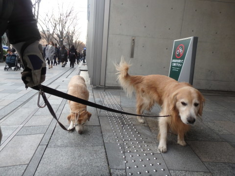 コヴァンスと代々木公園_f0052277_01500742.jpg