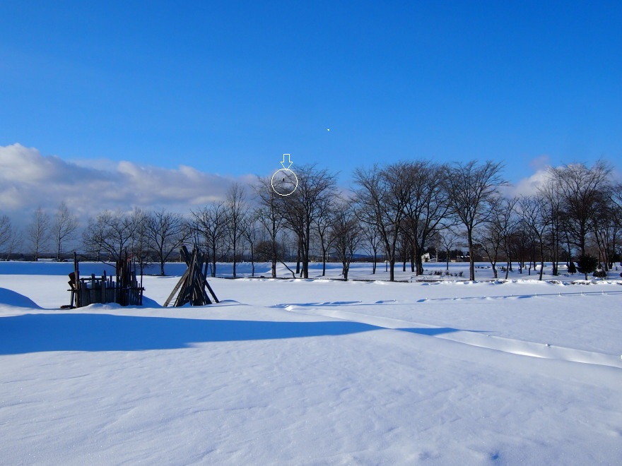 c0360399_21483079.jpg