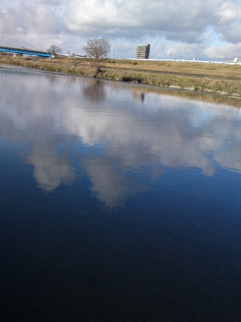 a0031000_21331499.jpg