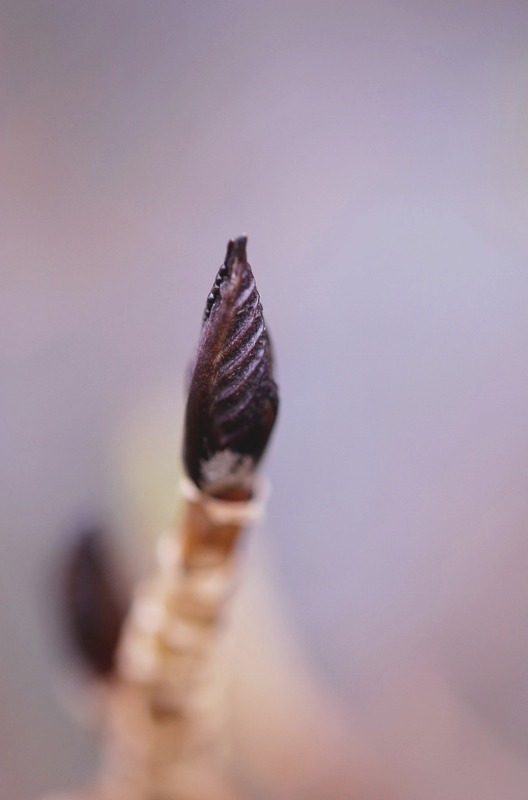 e0025300_16425763.jpg