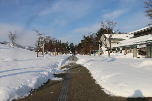 今季最低気温の朝　1月20日（小寒・末候）　雉始めて雊（きじ　はじめて　なく）・３_c0075701_20212089.jpg