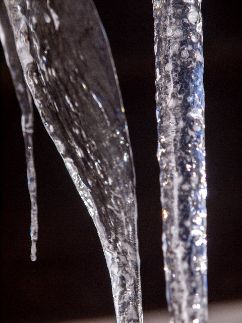 c0008502_49322.jpg