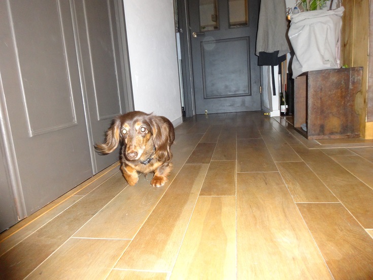 a0332203_20081055.jpg