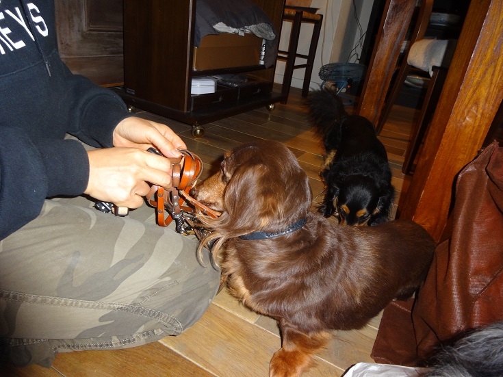 a0332203_20103445.jpg
