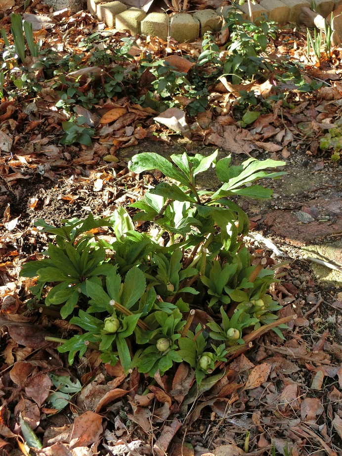 e0234004_21313341.jpg