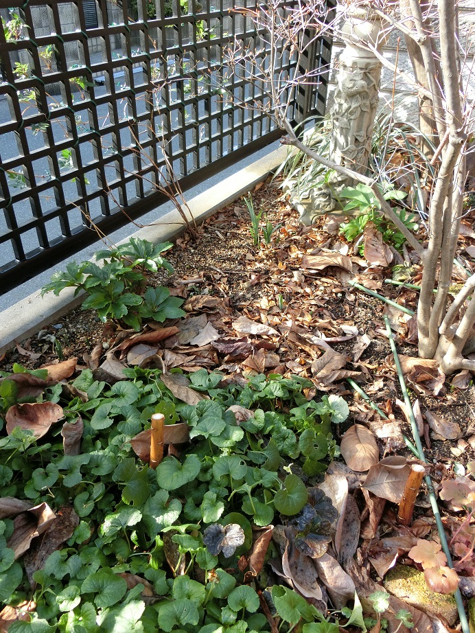 e0234004_21315612.jpg