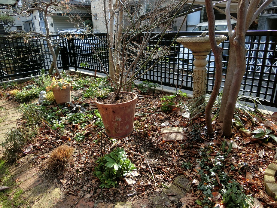 e0234004_2131678.jpg