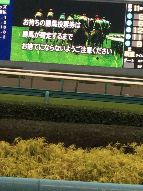 b0349408_13161646.jpg