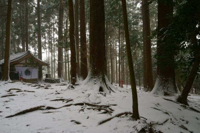 鞍馬寺奥の院への道（旅行・お出かけ部門）_e0177413_18192477.jpg