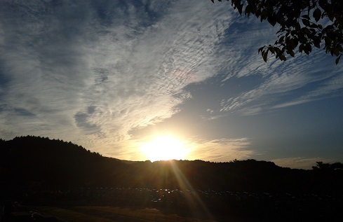 f0371014_07360826.jpg